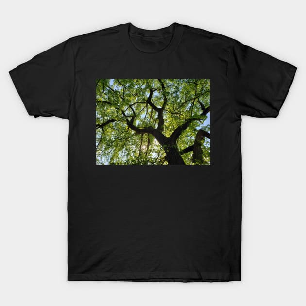 Twisted Nature T-Shirt by BSCustoms